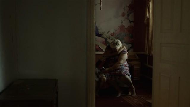 The Distant Barking of Dogs