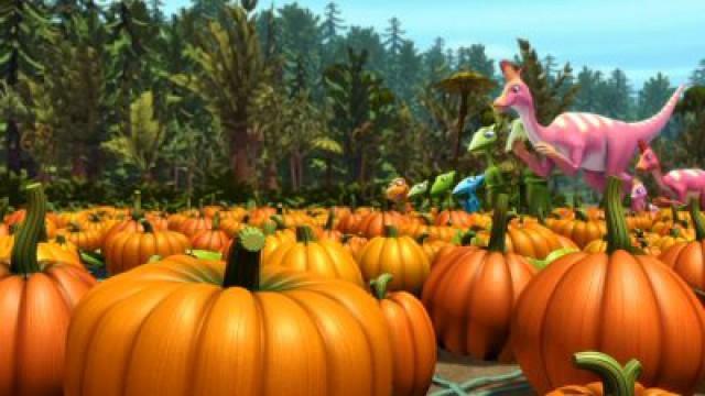 Big Pond Pumpkin Patch