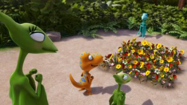 Tiny's Garden