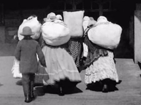 Forgotten Ellis Island