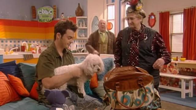 Big Dog Little Pants