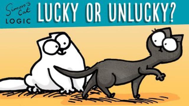 Simon’s Cat Logic: Are Black Cats Unlucky