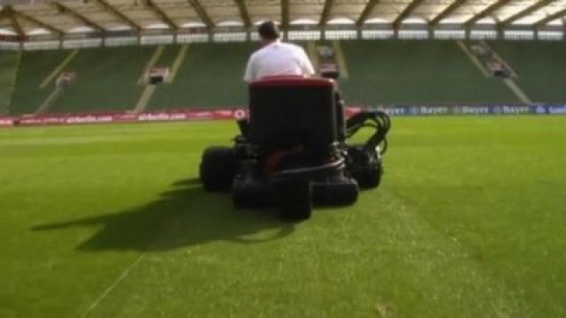 Fußballrasenstreifen