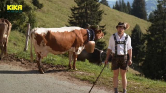 Abschied von der Alpe