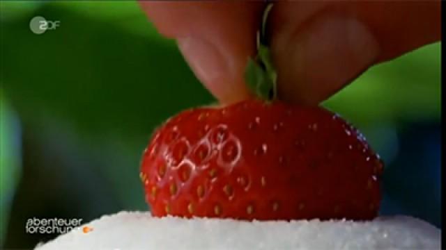 Ernährung zwischen Genuss und Vernunft
