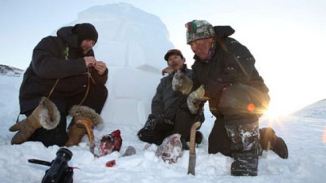 The Inuit - Survivors Of The Future