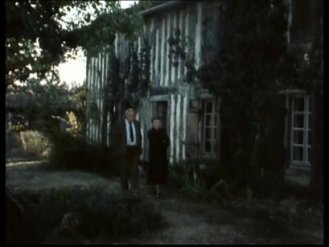 Mystère et pommes de pin