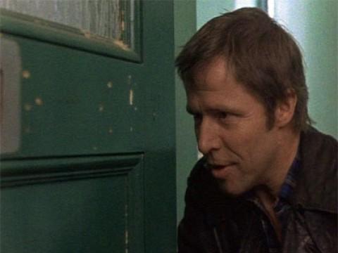 A well-established pyramid