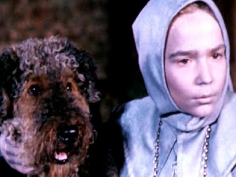 A boy with a dog