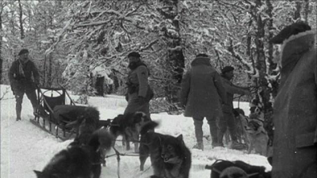 Nom de code : Poilus d'Alaska