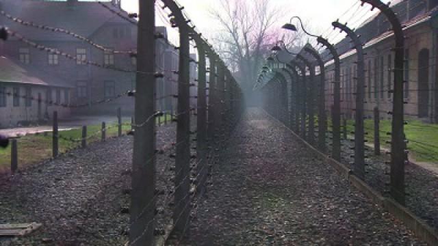 Auschwitz, 70 ans après - Parc Cracovie