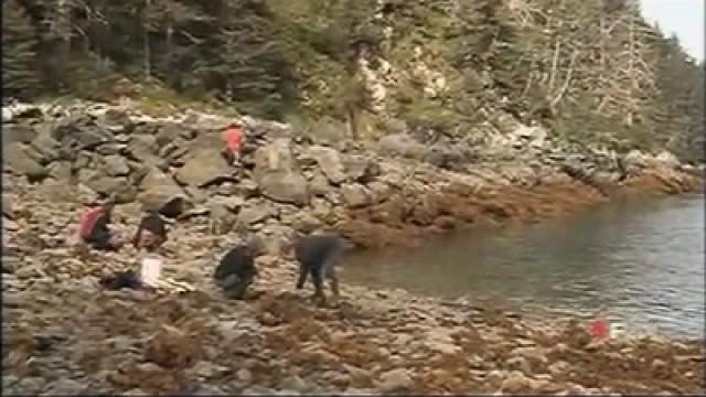 MARÉE NOIRE – L’HÉRITAGE DE L’EXXON VALDEZ