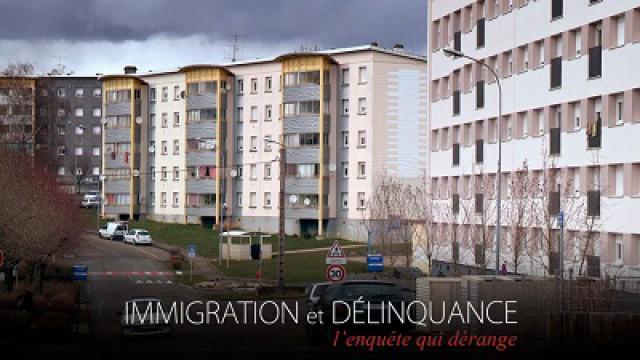 Immigration et délinquance : L'enquête qui dérange (1)