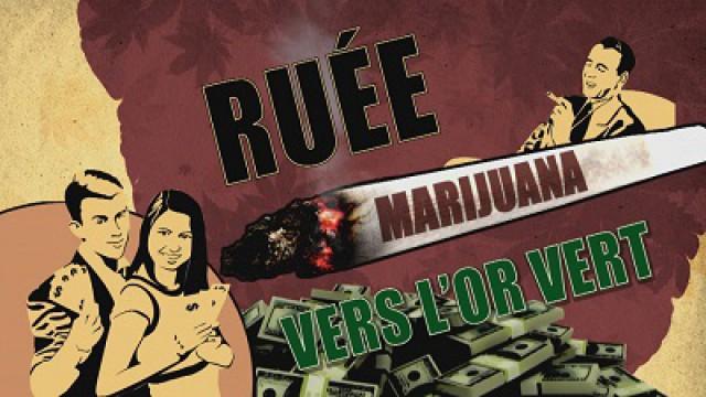 Marijuana : ruée vers l'or vert