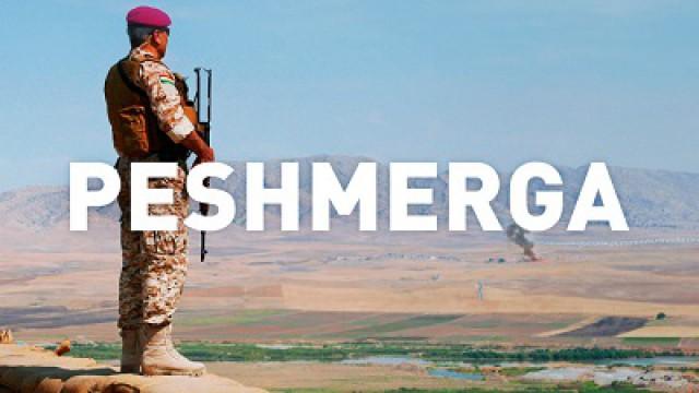 Peshmerga (1)