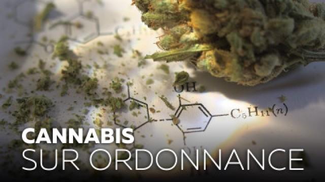 Cannabis sous ordonnance