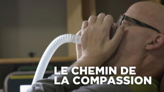 Le chemin de la compassion