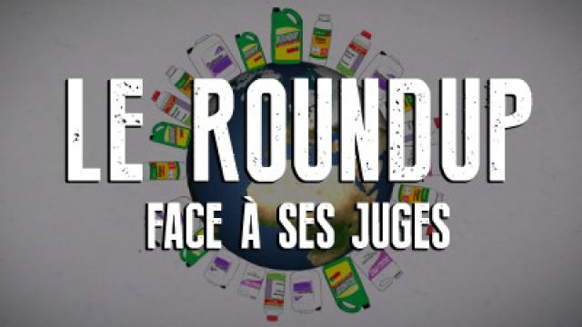 La Roundup face à ses juges (1)