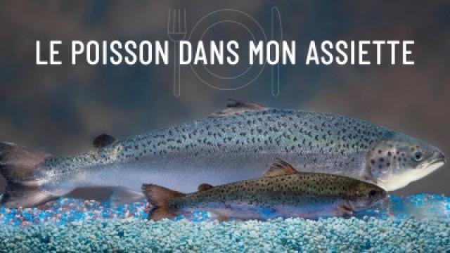 Le poisson dans mon assiette (1)