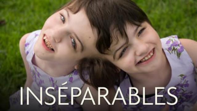 Inséparables de la tête