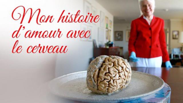 Mon histoire d'amour avec le cerveau