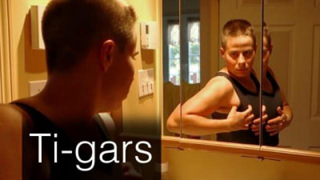 Ti-gars