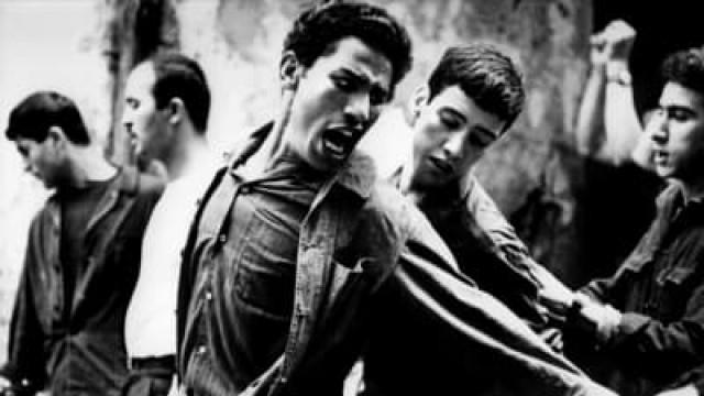 La bataille d'Alger, un film dans l'histoire