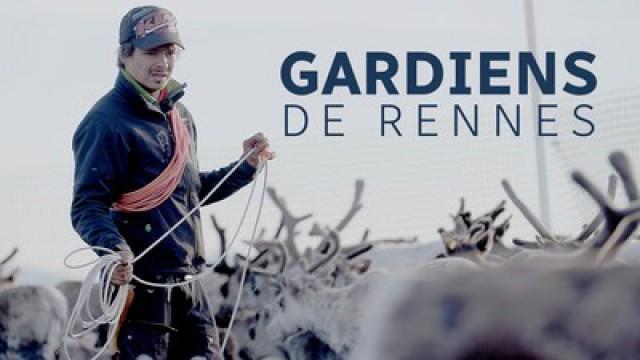 Des gardiens de rennes