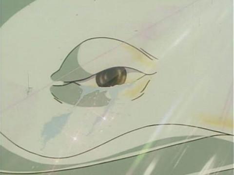The tears of the white whale