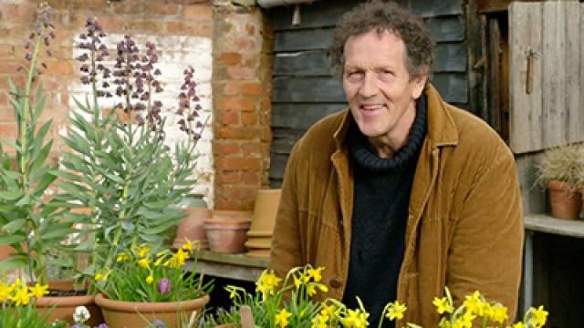 The A-Z of the RHS Chelsea Flower Show