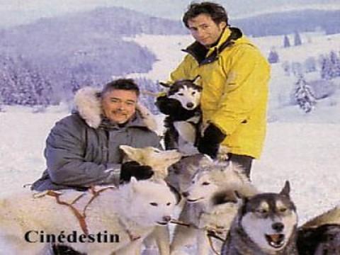 The pack