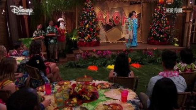 Jessie's Aloha-Holidays with Parker and Joey (2)