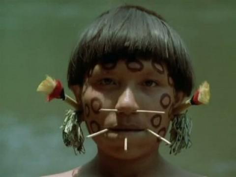 Los yanomanos, pueblo de la selva