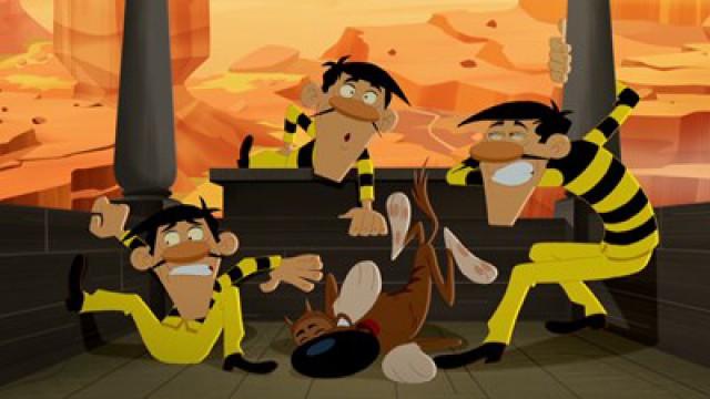 Sur un cactus perché