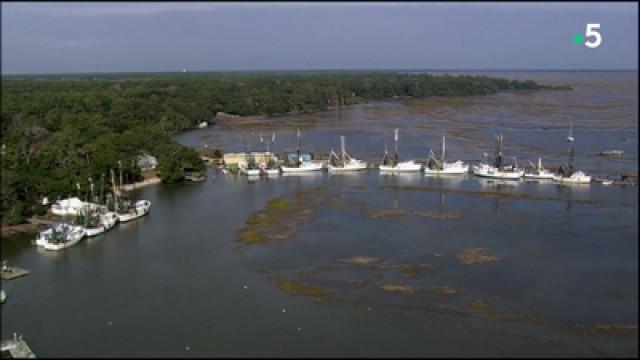 USA - Georgia - Fort Pulaski to Okefenokee Swamp