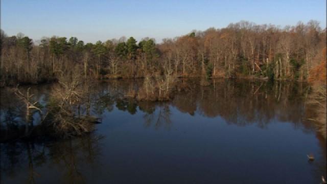 England - Epping Forest to Blickling Hall