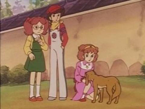 Ochiba cane senza padrone