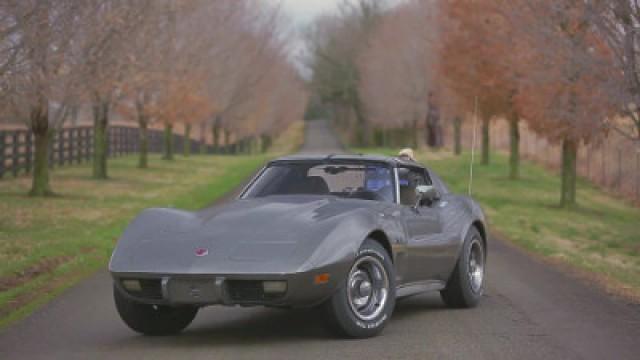 Corvette Sinkhole Adventure in a 1975 Stingray!