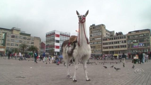 Bogotá