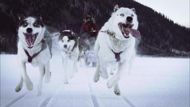 Ice Highway