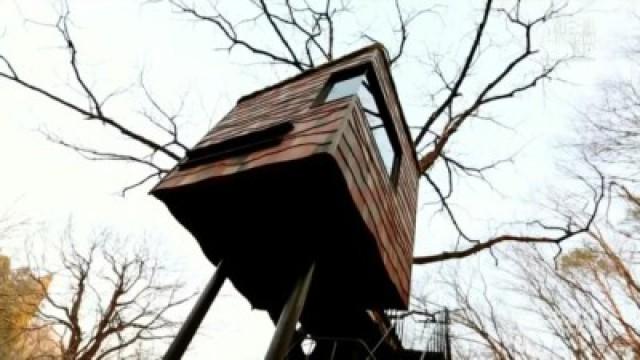 Treehouse Masters International: Japan