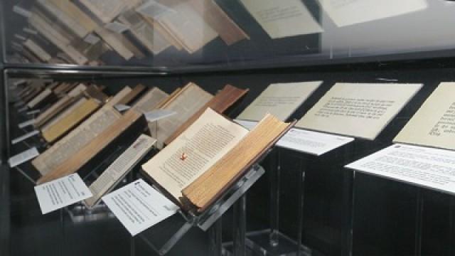 A Bible Exhibit That Glorifies Jehovah's Name