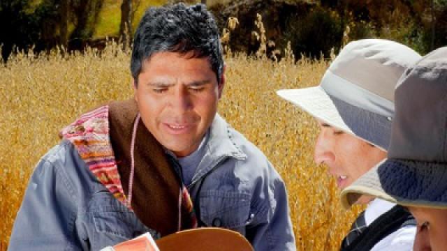 Translation in the Andes