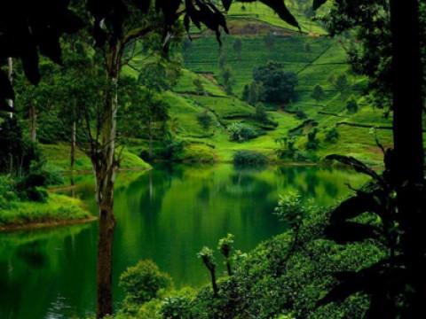 Sri Lanka: Monsoon Island