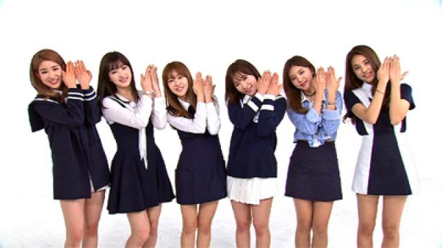 Episode 246 with Laboum