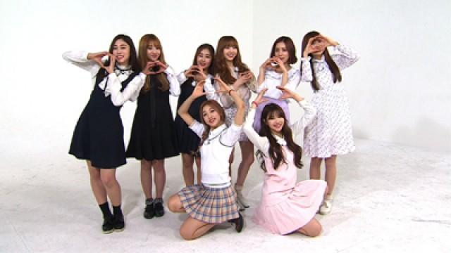 Episode 250 with Lovelyz