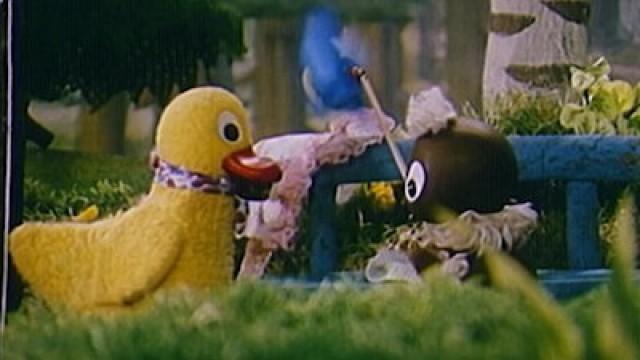 Als Pitti den Wind fangen wollte