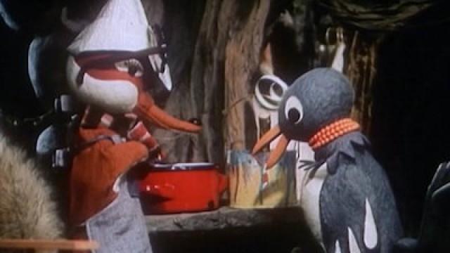 Herr Fuchs und die Brille