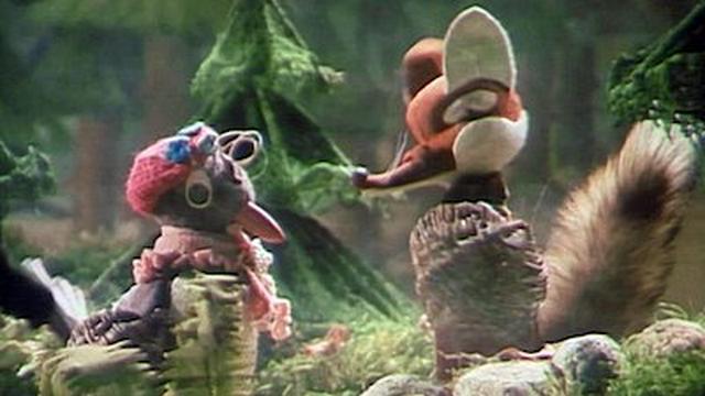 Pilze sammeln im November