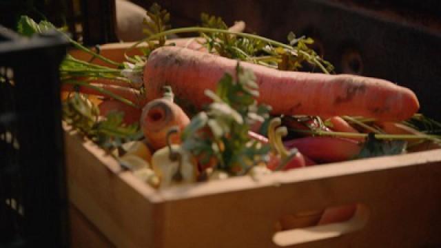 Food: The Source of Life